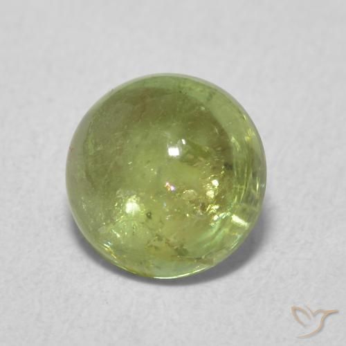 Tourmaline Olive verte naturelle Tour, 1.61 ct, Transparent