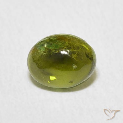 0.73ct Naturel Vert moyen Tourmaline, ovale, Transparent