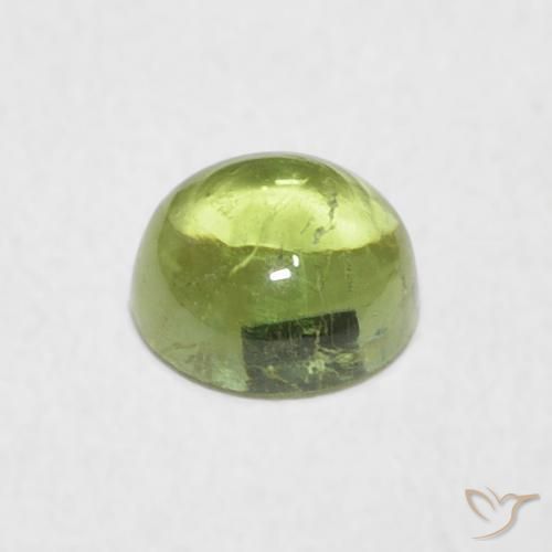 Tourmaline Vert chaud et terreux naturelle Tour, 0.79 ct, Transparent