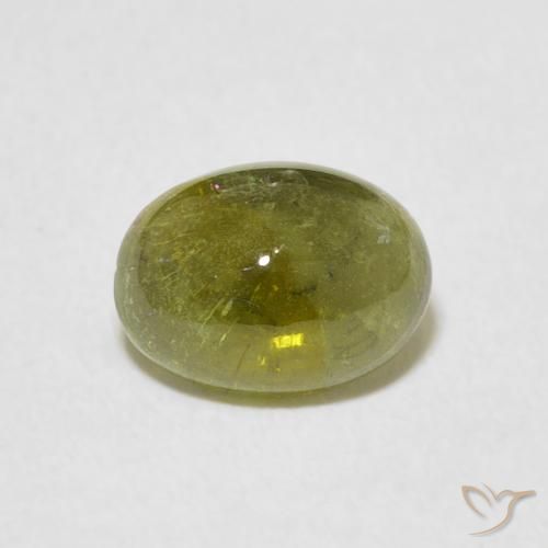 1.29ct Naturel Vert moyen Tourmaline, ovale, Transparent
