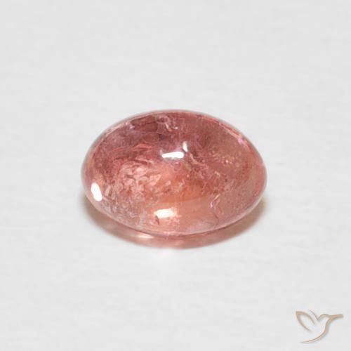 0.62ct Naturel Rouge indien Tourmaline, ovale, Transparent