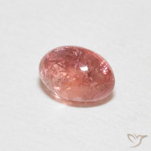 Tourmaline Rouge indien naturelle ovale, 0.62 ct, Transparent