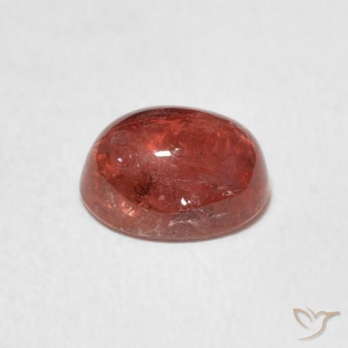 Tourmaline Rouge moyen naturelle ovale, 1.36 ct, Transparent