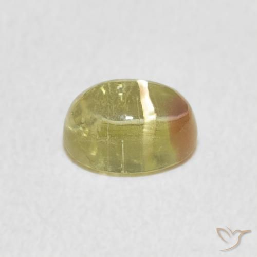 Tourmaline Bicolore naturelle ovale, 0.96 ct, Transparent