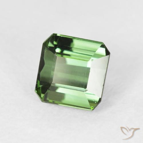 Tourmaline Forêt verte naturelle Octogone / coupe Émeraude, 1.42 ct, VVS