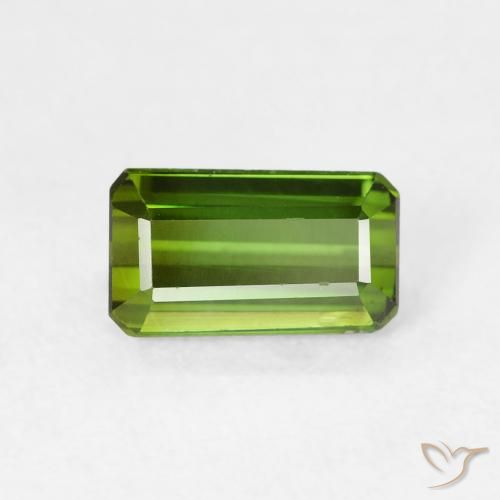 Tourmaline Forêt verte naturelle Octogone / coupe Émeraude, 1.03 ct, VVS-VS
