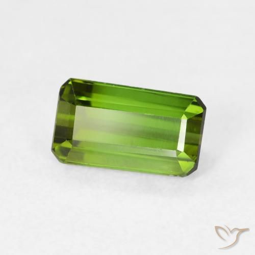 Tourmaline Forêt verte naturelle Octogone / coupe Émeraude, 1.03 ct, VVS-VS