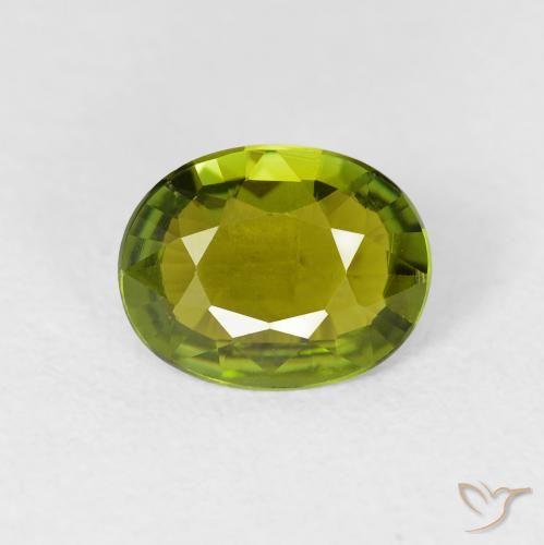 Tourmaline Vert forêt chaud naturelle ovale, 1.32 ct, VS