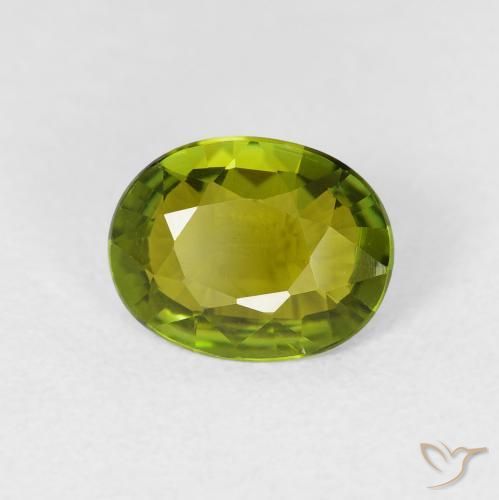 Tourmaline Vert forêt chaud naturelle ovale, 1.32 ct, VS