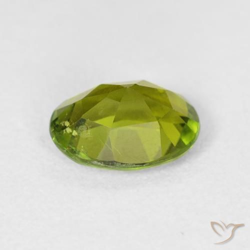 Tourmaline Vert forêt chaud naturelle ovale, 1.49 ct, VS