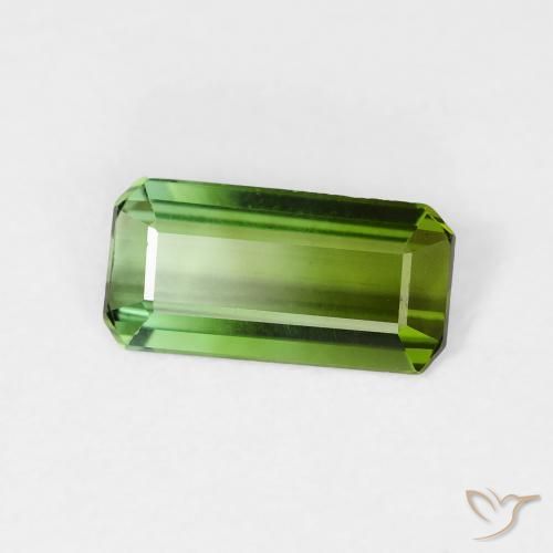 Tourmaline Forêt verte naturelle Octogone / coupe Émeraude, 0.99 ct, VVS-VS
