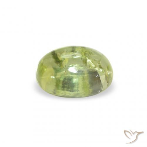 Tourmaline Vert chaud naturelle ovale, 0.77 ct, Transparent