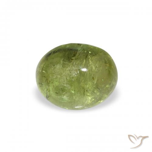 0.79ct Naturel Vert moyen Tourmaline, ovale, Transparent
