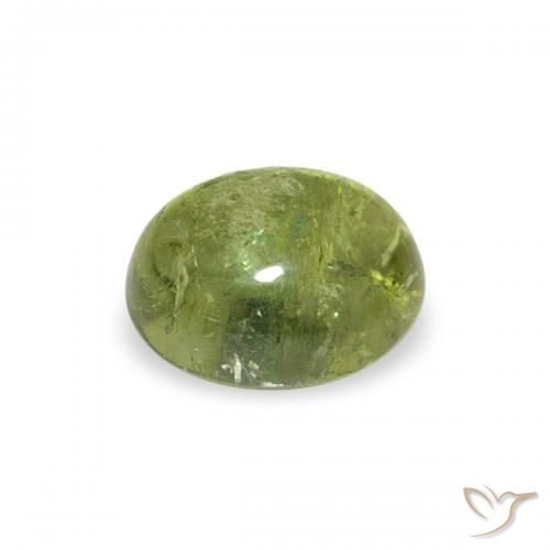 Tourmaline Vert moyen naturelle ovale, 0.79 ct, Transparent