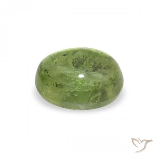 Tourmaline Vert moyen naturelle ovale, 0.79 ct, Transparent