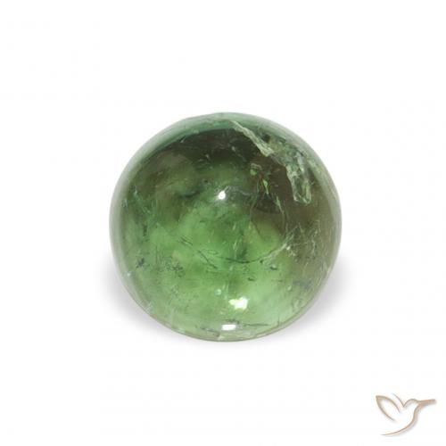 0.58ct Naturel Vert terreux Tourmaline, Tour, Transparent, Photo A