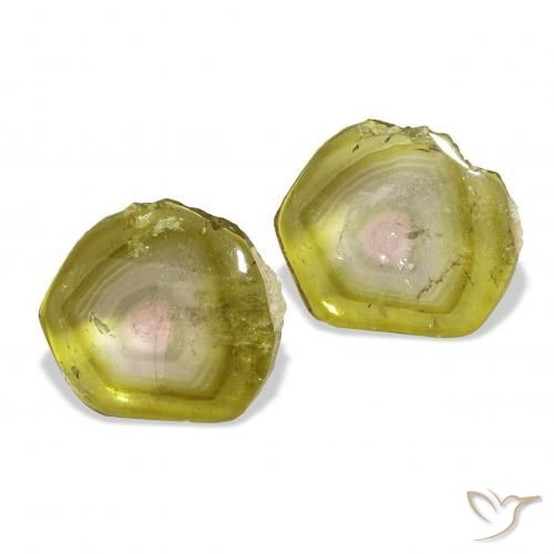 Shop natural 7.05ct Pastèque Tourmaline gems, Fantaisie, from Mozambique at GemSelect. In stock, global shipping!