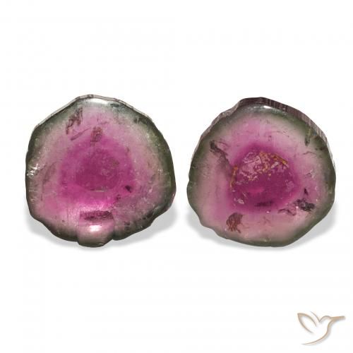 5.56ctw Pastèque Tourmaline, Fantaisie, Transparent