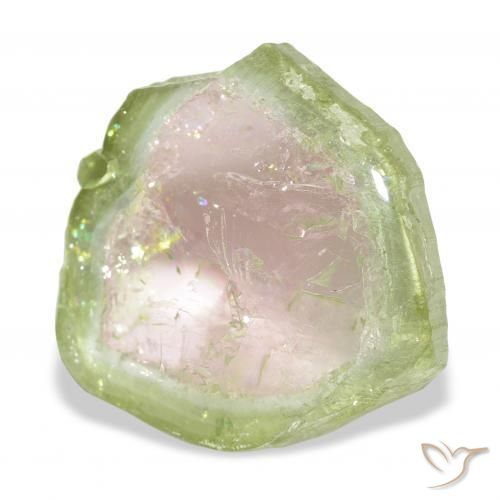 Tourmaline Bicolore naturelle Fantaisie, 13.82 ct, Transparent