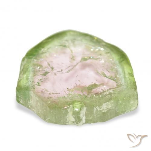 Tourmaline Bicolore naturelle Fantaisie, 13.82 ct, Transparent