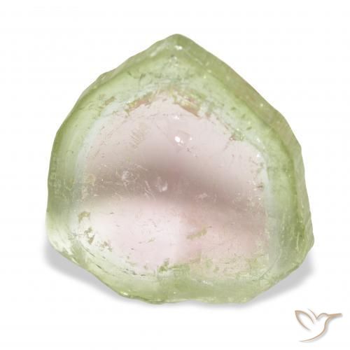 Tourmaline Bicolore naturelle Fantaisie, 8.09 ct, Transparent