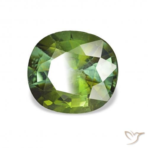 Tourmaline Vert moyen naturelle Coussin, 1.44 ct, VS