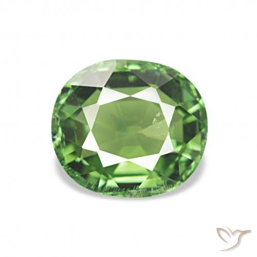 1.32ct Vert foncé Tourmaline, ovale, VS