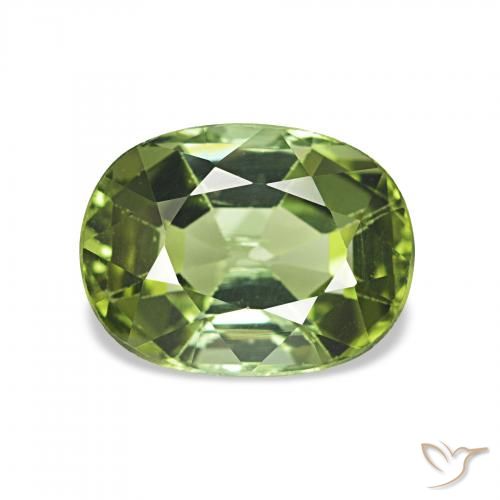 1.65ct Forêt verte Tourmaline, Coussin, VS