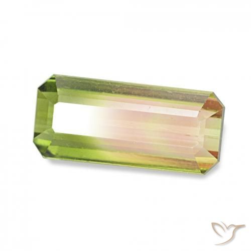 Tourmaline Pastèque naturelle Octogone / coupe Émeraude, 1.53 ct, VS