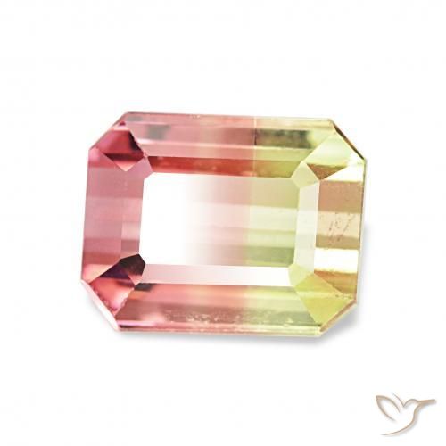 Tourmaline Pastèque naturelle Octogone / coupe Émeraude, 1.72 ct, VS