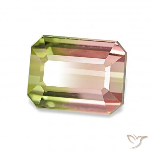 Tourmaline Pastèque naturelle Octogone / coupe Émeraude, 1.55 ct, VVS-VS