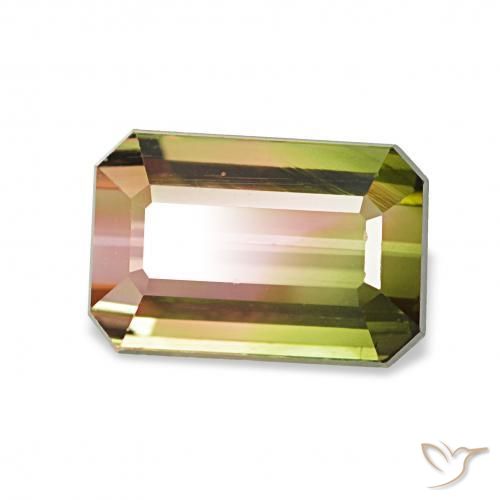 Tourmaline Pastèque naturelle Octogone / coupe Émeraude, 1.72 ct, VVS-VS