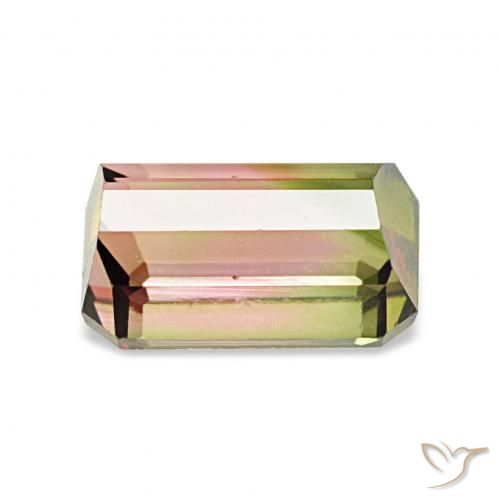 Tourmaline Pastèque naturelle Octogone / coupe Émeraude, 1.72 ct, VVS-VS