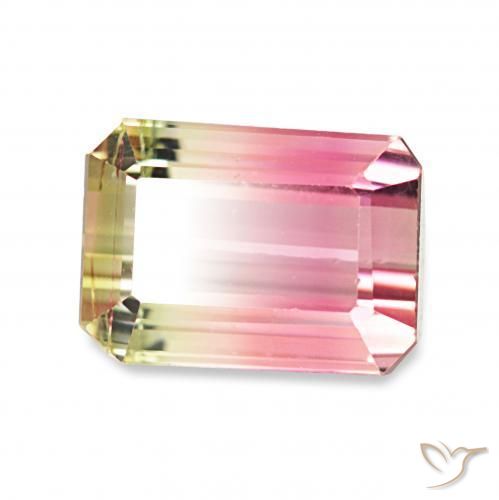 Tourmaline Pastèque naturelle Octogone / coupe Émeraude, 1.73 ct, VVS-VS