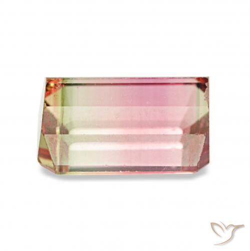 Tourmaline Pastèque naturelle Octogone / coupe Émeraude, 1.73 ct, VVS-VS