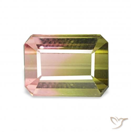1.63ct Pastèque Tourmaline, Taille émeraude, VVS-VS