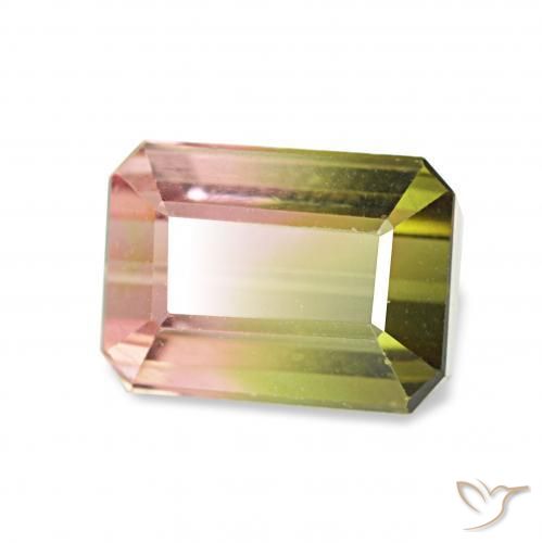 Tourmaline Pastèque naturelle Octogone / coupe Émeraude, 1.63 ct, VVS-VS