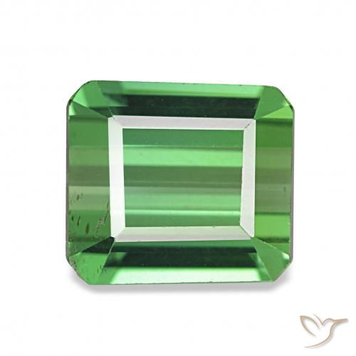 Tourmaline Vert moyen naturelle Octogone / coupe Émeraude, 1.61 ct, VVS-VS