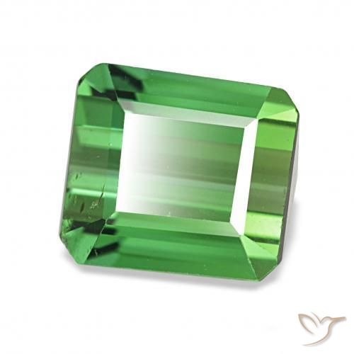 Tourmaline Vert moyen naturelle Octogone / coupe Émeraude, 1.61 ct, VVS-VS