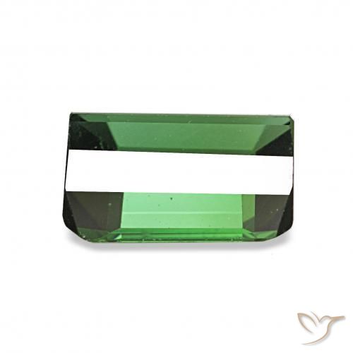 Tourmaline Vert moyen naturelle Octogone / coupe Émeraude, 1.61 ct, VVS-VS