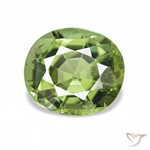 1.31ct Vert chaud Tourmaline Pierres précieuses, ovale, VVS-VS