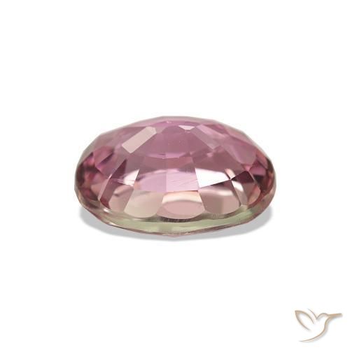 Tourmaline Rose clair naturelle Coupe ovale, 1.64 ct, VS