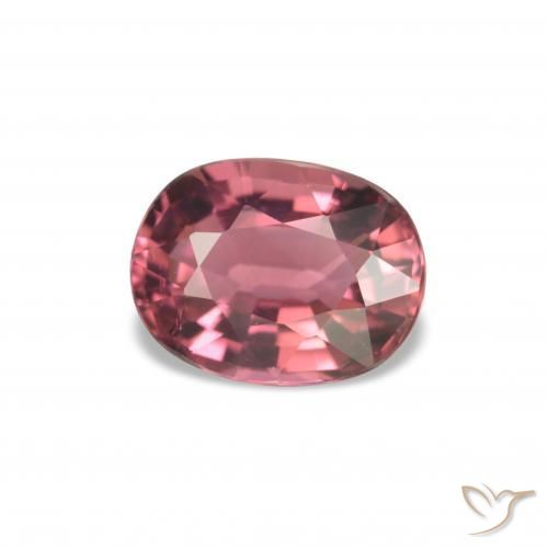 Tourmaline Rose rougeâtre naturelle Coupe ovale, 1.52 ct, VVS