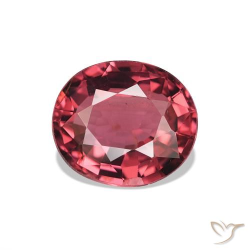 Tourmaline Rouge moyen naturelle Coupe ovale, 1.64 ct, VS
