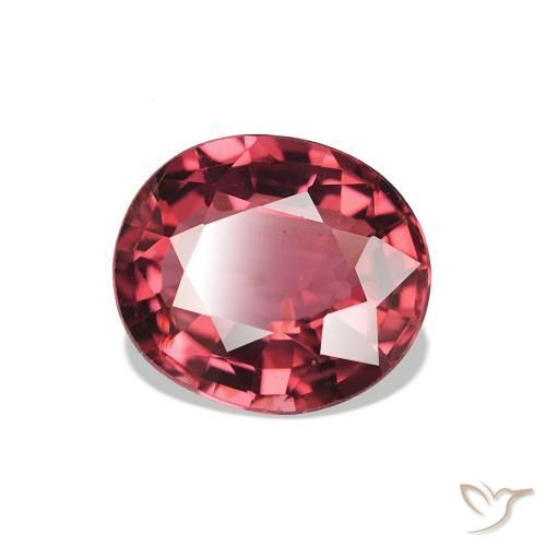 Tourmaline Rouge moyen naturelle Coupe ovale, 1.64 ct, VS