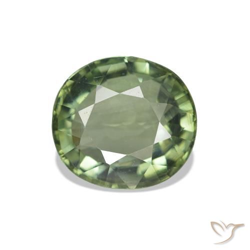 1.57ct Vert forêt léger Tourmaline, ovale, VVS