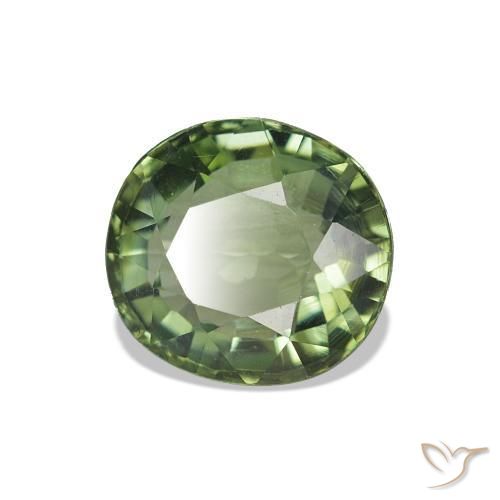 Tourmaline Vert forêt léger naturelle Coupe ovale, 1.57 ct, VVS