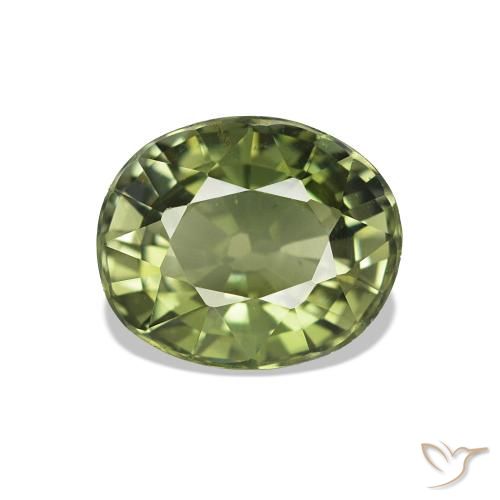 1.45ct Vert jaunâtre Tourmaline, ovale, VVS