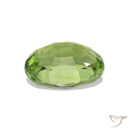 Tourmaline Vert moyen naturelle Coupe ovale, 1.47 ct, VS