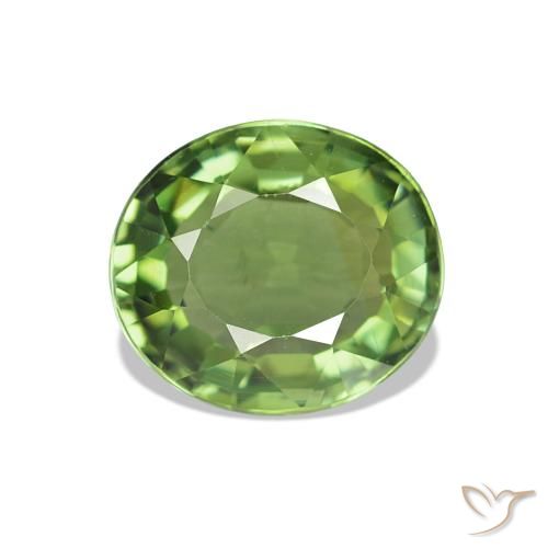 Tourmaline Vert moyen naturelle Coupe ovale, 1.42 ct, VVS